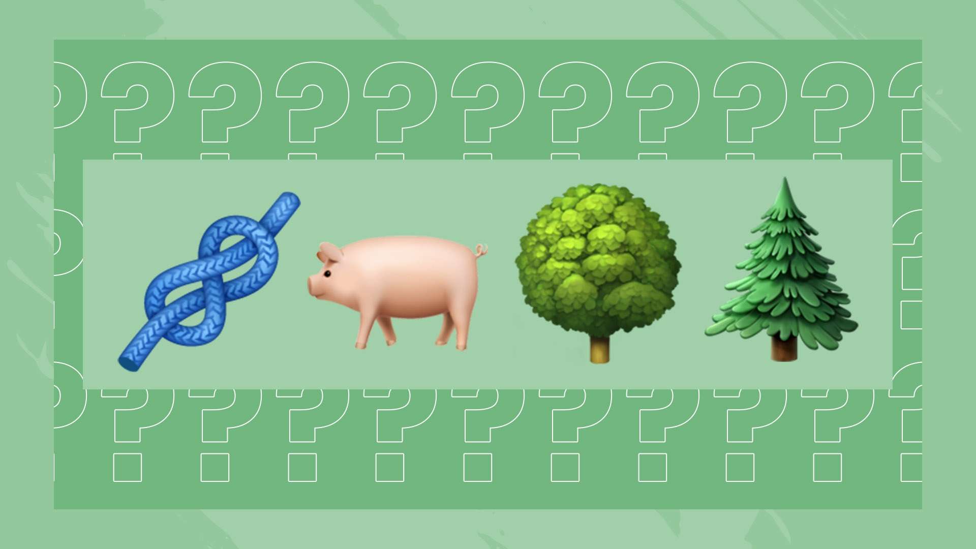 无论是朋友 无论是朋友